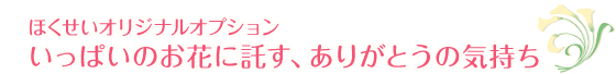 ほくせいオリジナルオプション いっぱいのお花に託す、ありがとうの気持ち